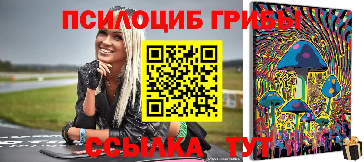 Галлюциногенные грибы Cubensis Балаково